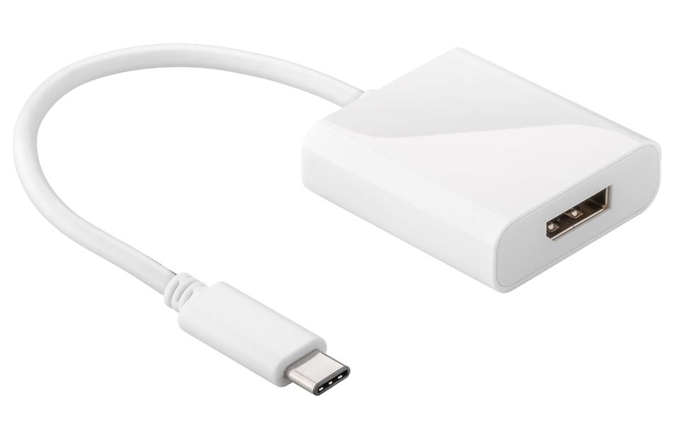 Astrotek USB-C to DisplayPort Converter Cable 4K