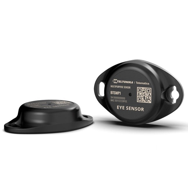 Teltonika BTSMP1 Bluetooth Asset Sensor