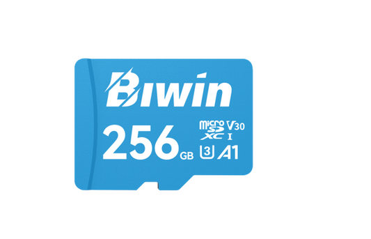 BIWIN MS100-256G 256GB microSD Card