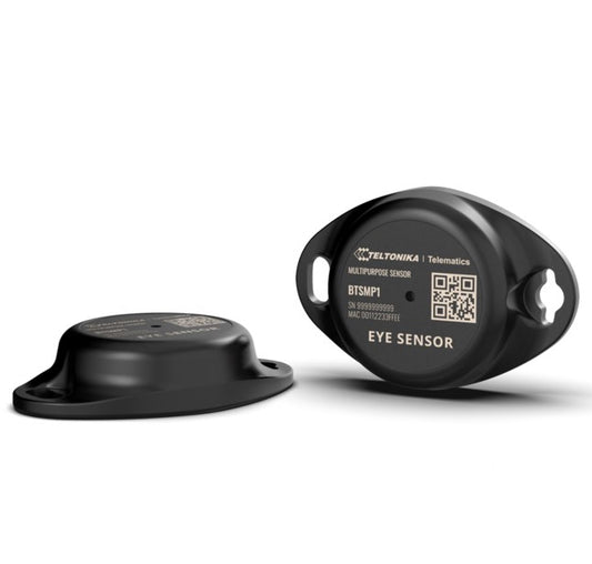 Teltonika BTSMP1 Bluetooth Asset Sensor